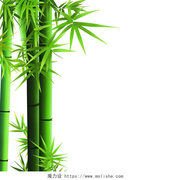 中国风手绘古风青竹子插画元素素材竹子中国风竹子手绘竹子